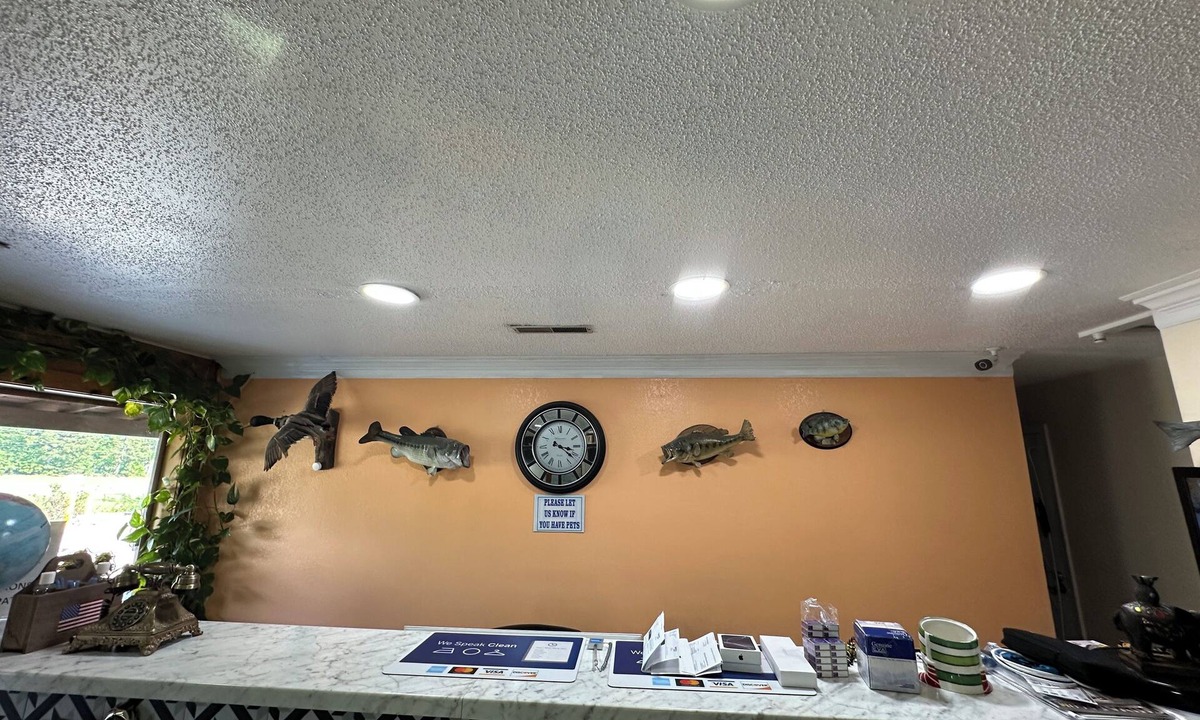 Camden Hotel | American Inn Motel by Capital O Camden AL