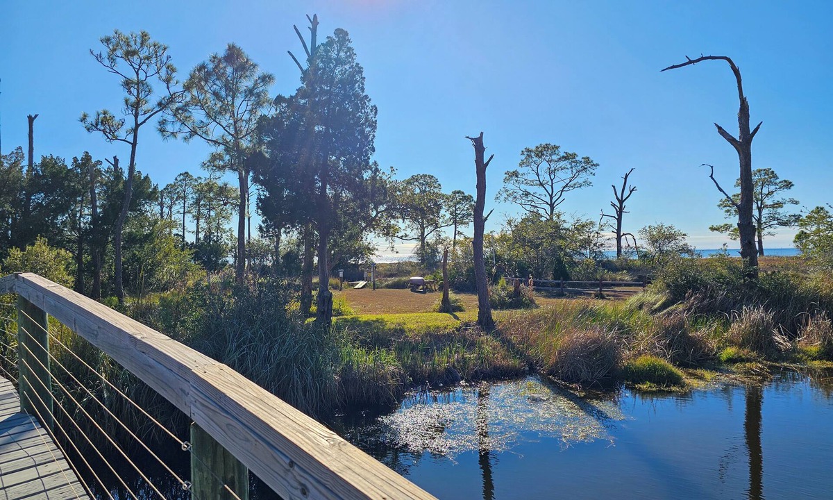 Magnolia Bluffs House | August 2026 Big Savings! Ground Level, Bayside Retreat w/bay access!