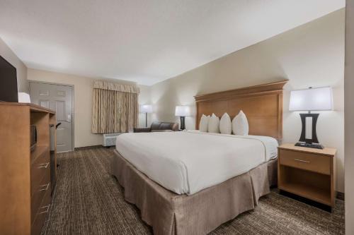 Tuscaloosa Hotel | Best Western University Inn