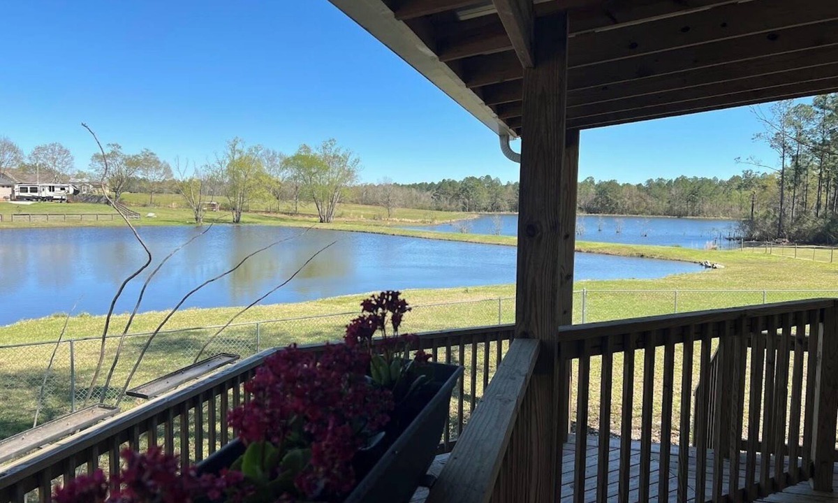 Gulfport Cottage | Charming Cottage in Gulfport overlooking 2 beautiful ponds WIFI Pet Friendly