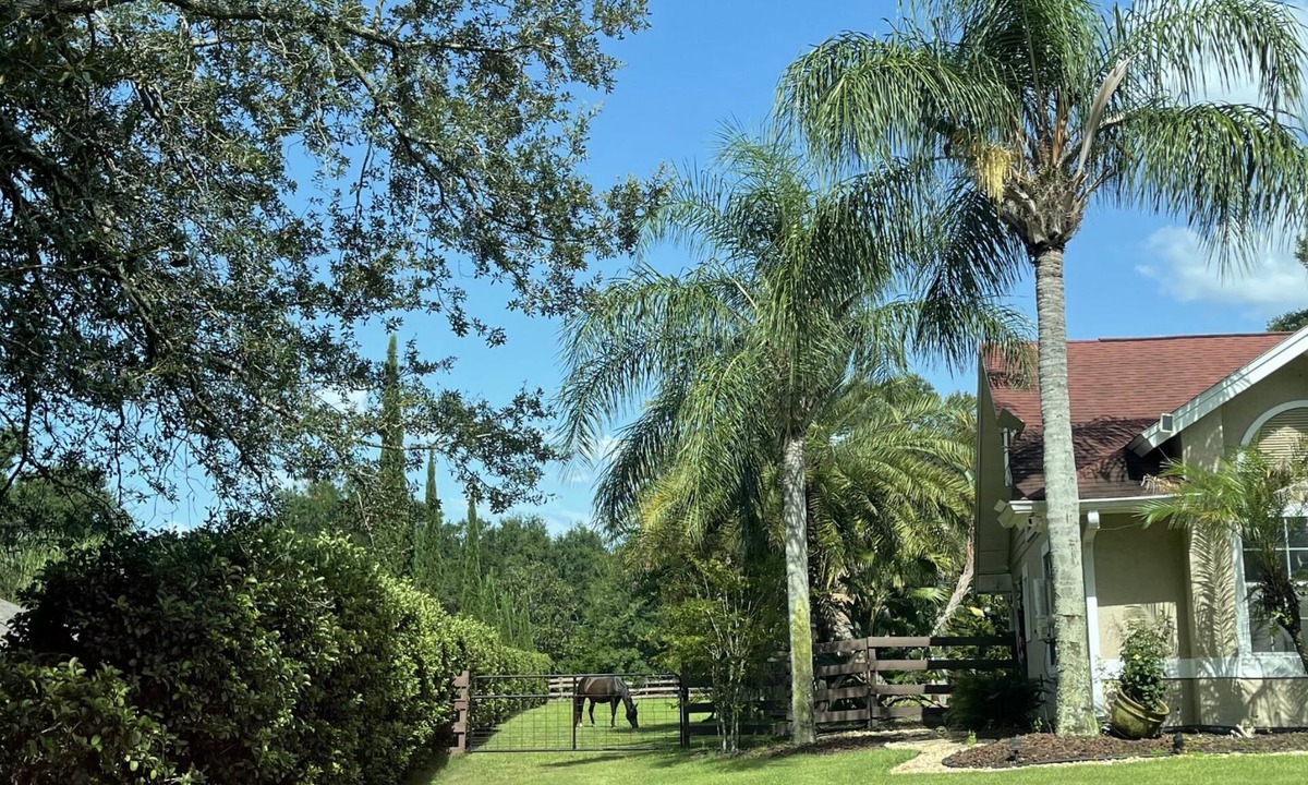 Plymouth House | Country Estates close to Disney resorts & Parksn