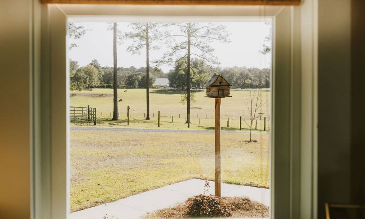 Tallahassee House | Farm stay with gorgeous view! Come stay at the Bird House on Nutbird Hill Farm.