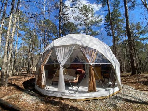 Eatonton Other | Forest Dome Near Lake Oconee Artistic Design