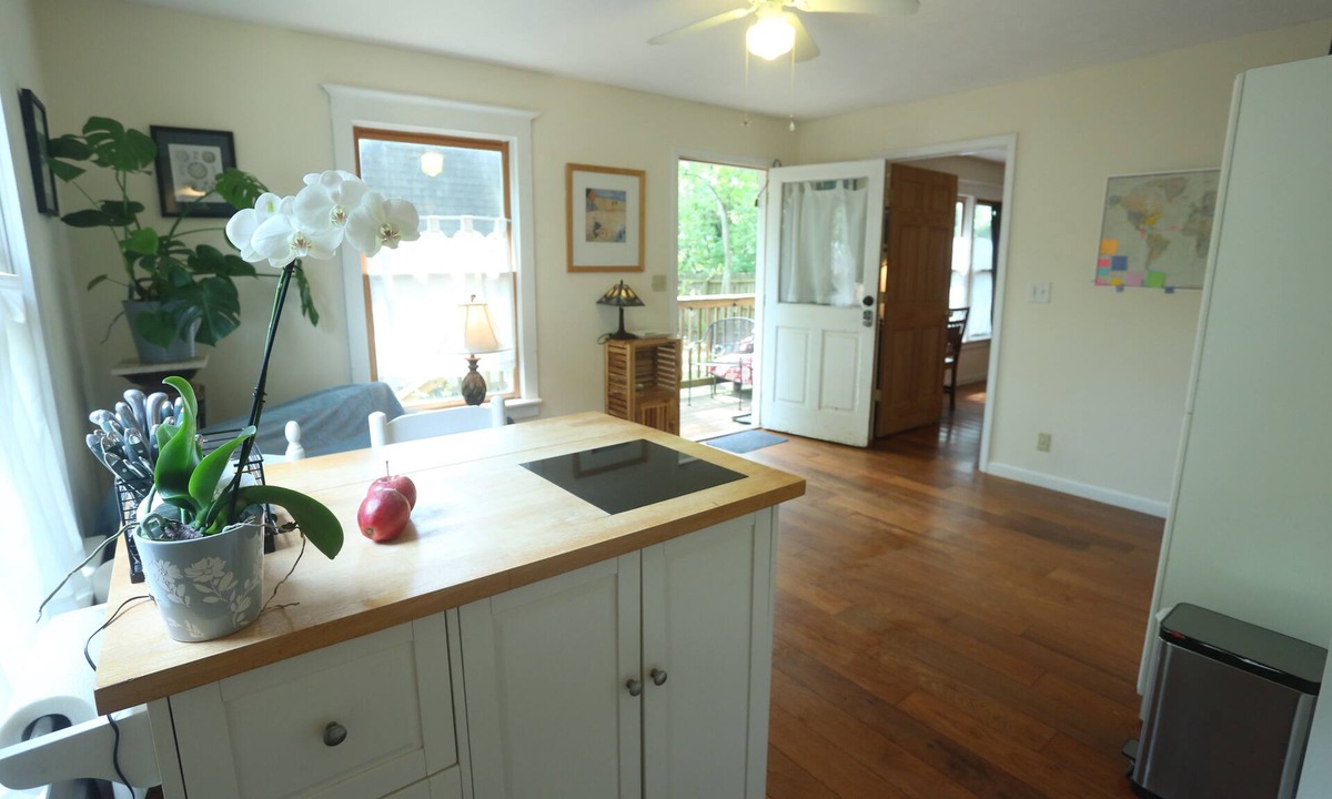 Decatur Apartment | Hidden Gem! Sunny, Relaxing, Two-Room Apartment