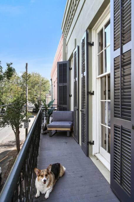 Lower Garden District Apartment | Historic Garden District 5BR with Parking and Balcony