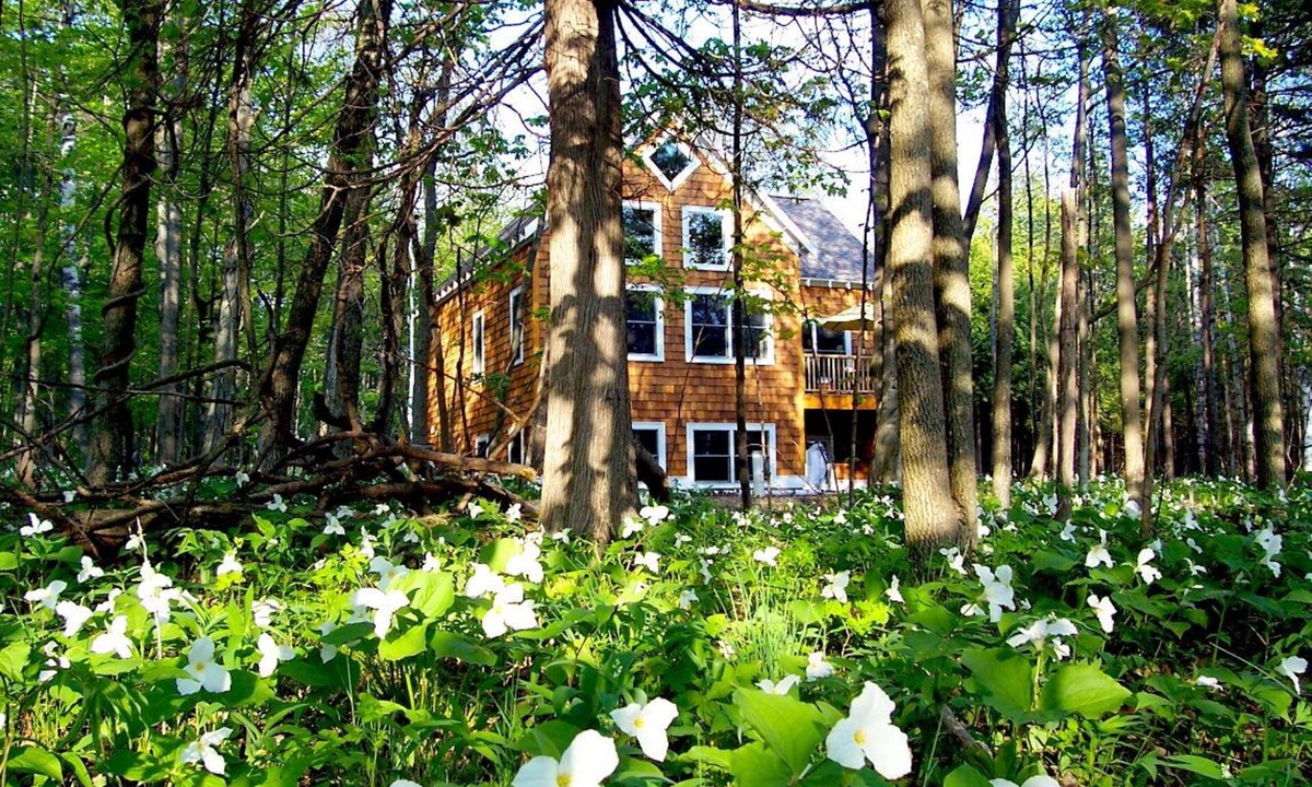 Harbor Springs House | Lake Michigan Bluff Home on Tunnel of Trees with Game Room and Views