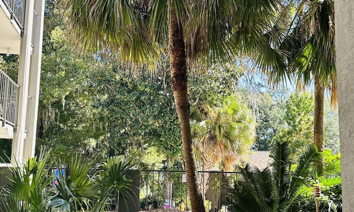Tallahassee Hotel | Loyalty Inn Tallahassee