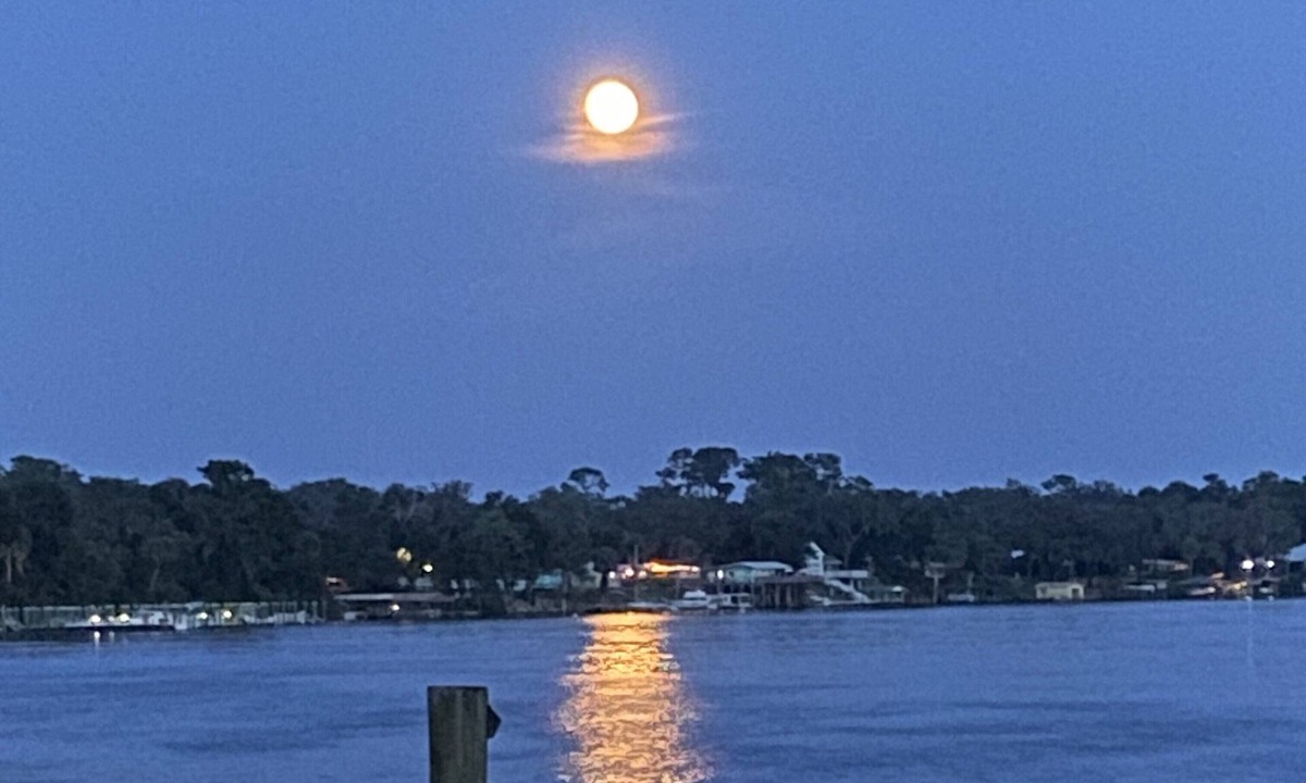 Welaka House | Moonlite Retreat- Waterfront home in Welaka, Florida
