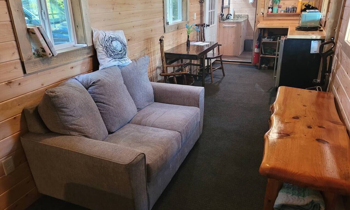 Greenville Apartment | New! Robin's Nest - Cute Lakefront Tiny House! Includes lake access!