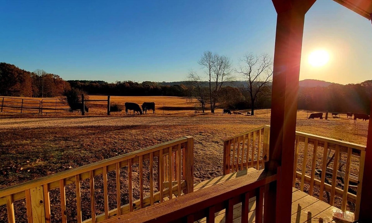 Hamilton Cottage | Peaceful Tiny House on 32 acres