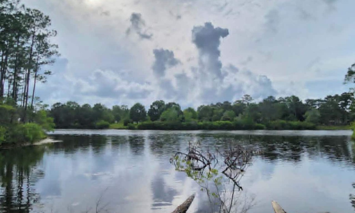 Harrison County House | Private Lake Front House on Gulf Coast with Grill, Kayaks, Hammock, Porch Swing