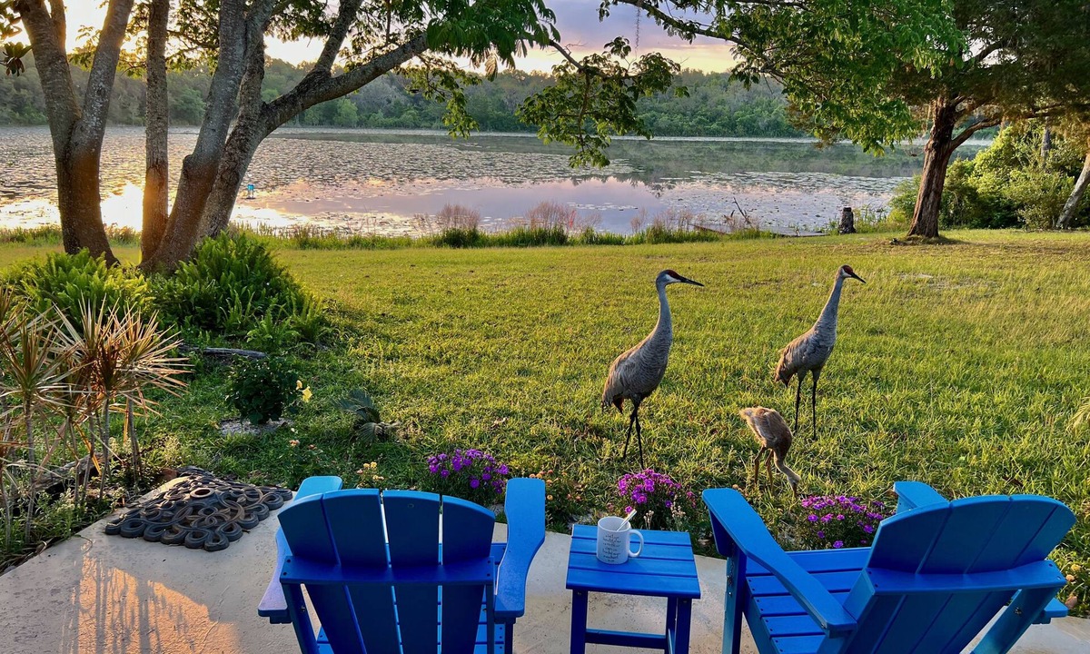 Crescent City House | SANDY LAKES FARM - 40+ acre private retreat on Sandy Lake