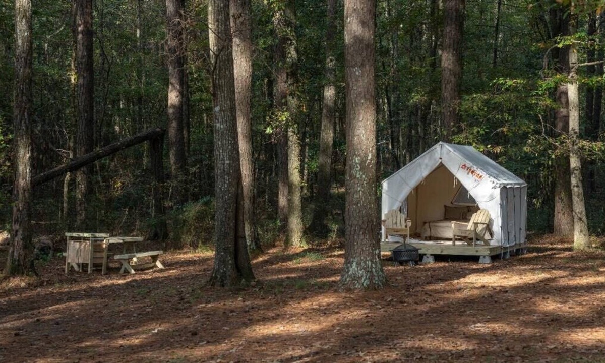 Morton RV Rental | Tentrr State Park Site - Mississippi Roosevelt State Park - Tall Trees D - Sing