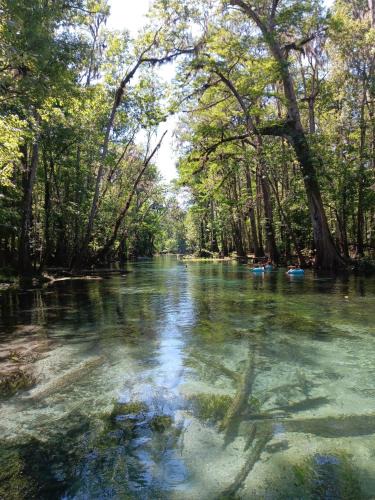 Paisley Other | The Angler's Hideout