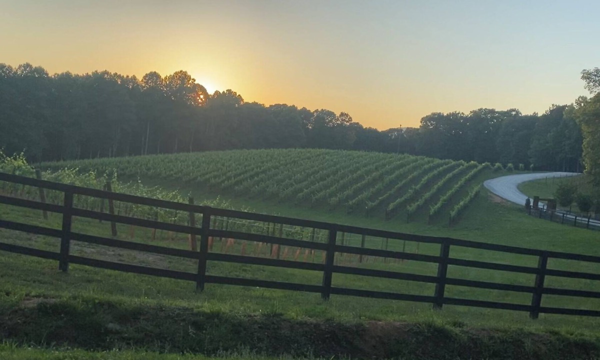 Ellijay Cabin | Tranquility and sunrise mountain views. Mins to town!