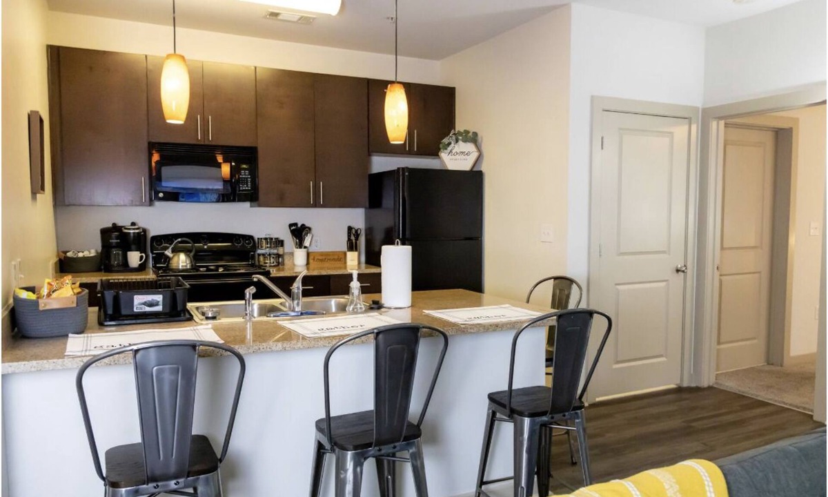 Birmingham Apartment | Travel Pro Paradise| DWTWN|UAB|Walk To EVERYTHING