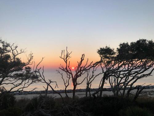 Jekyll Island House | Villa 504 - Ocean Driftwood