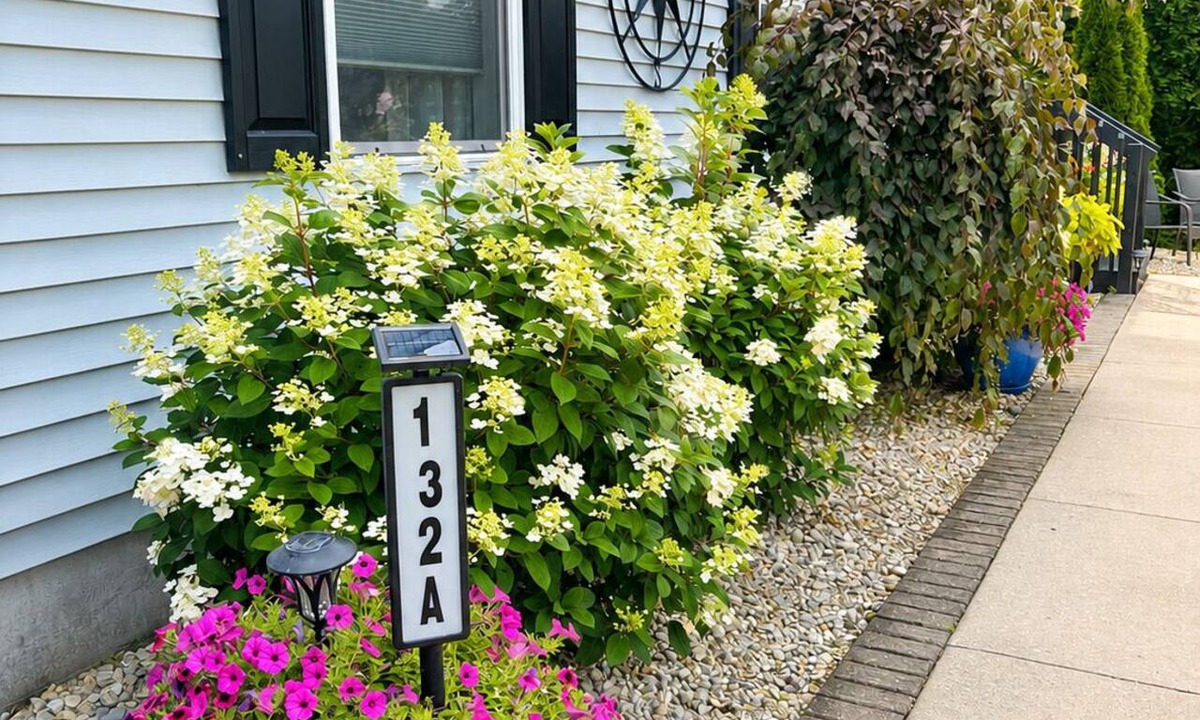 Elk Rapids House | Walking distance to local eateries, watering holes, beaches, grocery & shopping!