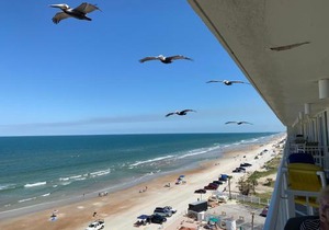 Harbour Beach Resort - Direct Oceanfront, private balcony ! in Daytona Beach