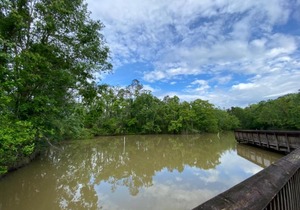 Tentrr - Louisiana Tickfaw State Park - Woodland F - Single Camp