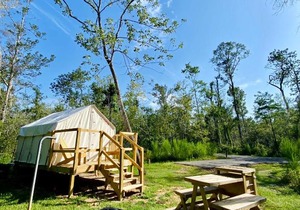 Tentrr - Louisiana Tickfaw State Park - Woodland G - Single Camp