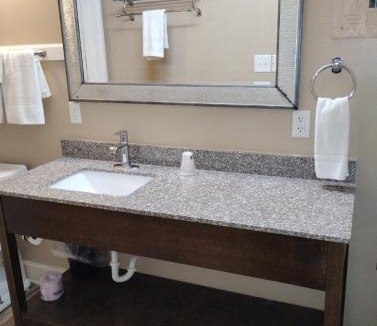 Baton Rouge Apartment | 1 King Bed 1 Bath Apt with Full Kitchen 111