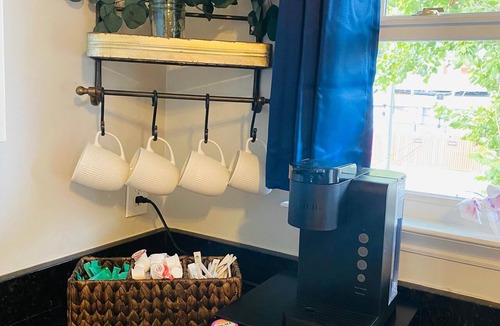 Historic Downtown Savannah Apartment | 14” Swim Spa, walkable, dog friendly, free parking, close to grocery and Forsyth