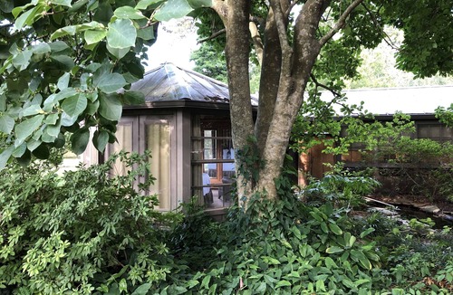Downtown Cottage | 1901 Historic Home's Guest Cottage with pool