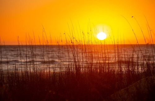 Oceanside House | 6959 Fairway One at The Sea Pines Resort