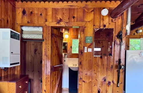 Trout Lake Cabin | Adorable Cabin #4 at Twin Cedars Resort in Trout Lake, MI with row boat and AC