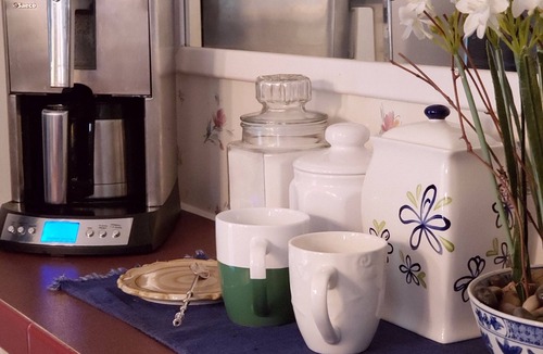 Crescent City House | All about the water #3 of 3-Pet-friendly!