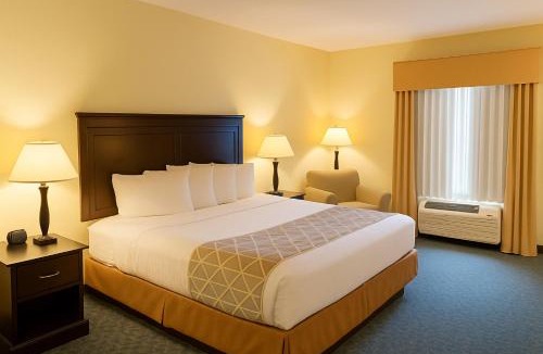 Tuscaloosa Hotel | Ambassador Inn & Suites Tuscaloosa University I-20