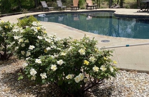 Oxford House | Beautiful 3-bedroom house in Taylor