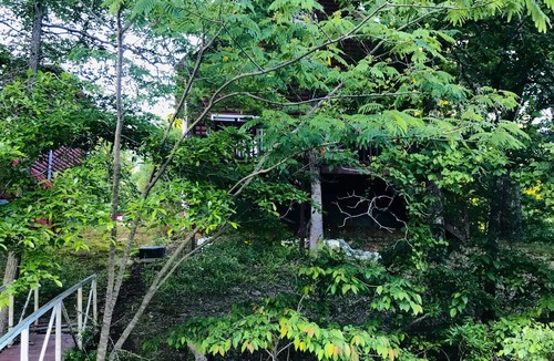 Double Springs Cabin | Beautiful cabin in the forest on the lake