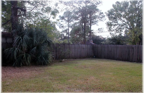 Algiers House | BEAUTIFUL QUIET CITY LIVING CLOSE TO DOWNTOWN (Algiers area)