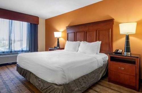 Palm Coast Hotel | Best Western Plus Flagler Beach Area Inn & Suites