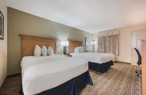 Tuscaloosa Hotel | Best Western University Inn