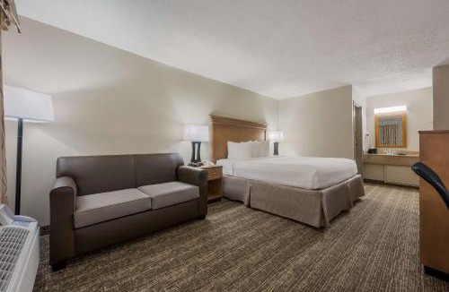Tuscaloosa Hotel | Best Western University Inn
