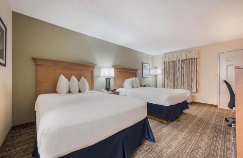 Tuscaloosa Hotel | Best Western University Inn