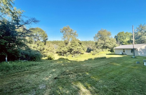 Hesperia Cabin | Cabin with beautiful acreage bordering Manistee National Forest