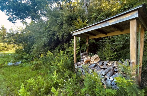 Hesperia Cabin | Cabin with beautiful acreage bordering Manistee National Forest
