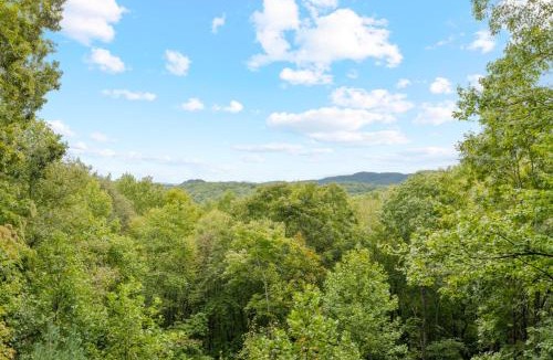Blue Ridge House | Charley Brown Cabin