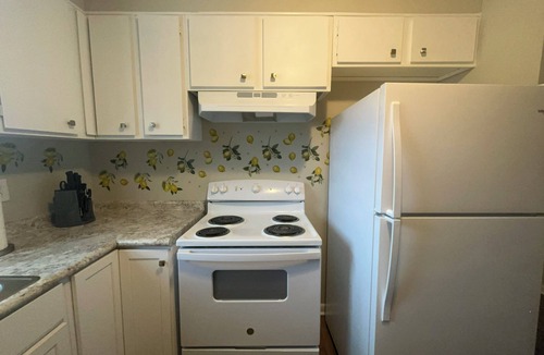 Remerton Apartment | Charming 1-bedroom 2 Queen Bed,1 sofa bed Apartment in Valdosta!
