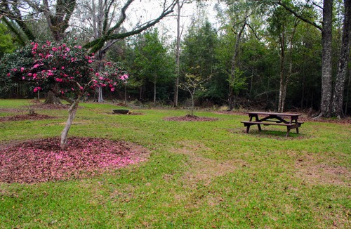 Wakefield House | Charming 3-bedroom home in Centreville, MS on beautiful and peaceful landscape.