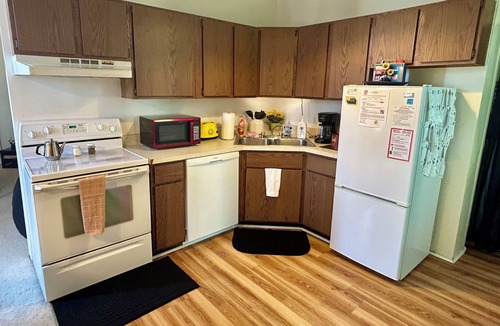 Ypsilanti Apartment | Classic & Charming Downtown Loft