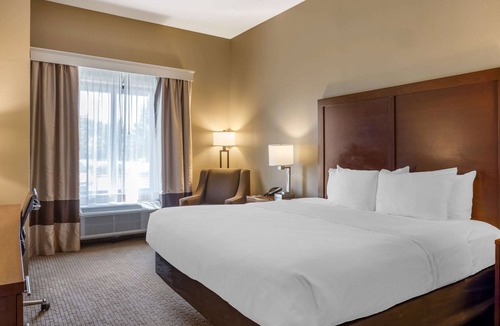 Birmingham Hotel | Comfort Inn & Suites at CrossPlex Village