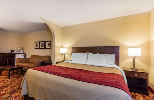 Jasper Hotel | Comfort Inn & Suites Jasper Hwy 78 West