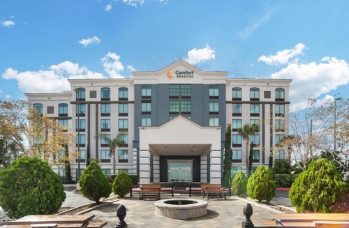 Kenner - Louis Armstrong International Airport Hotel | Comfort Inn & Suites New Orleans Airport North