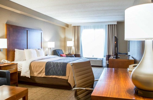 Sanford Hotel | Comfort Inn & Suites Orlando North