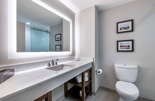 Gainesville Hotel | Comfort Suites Gainesville near University